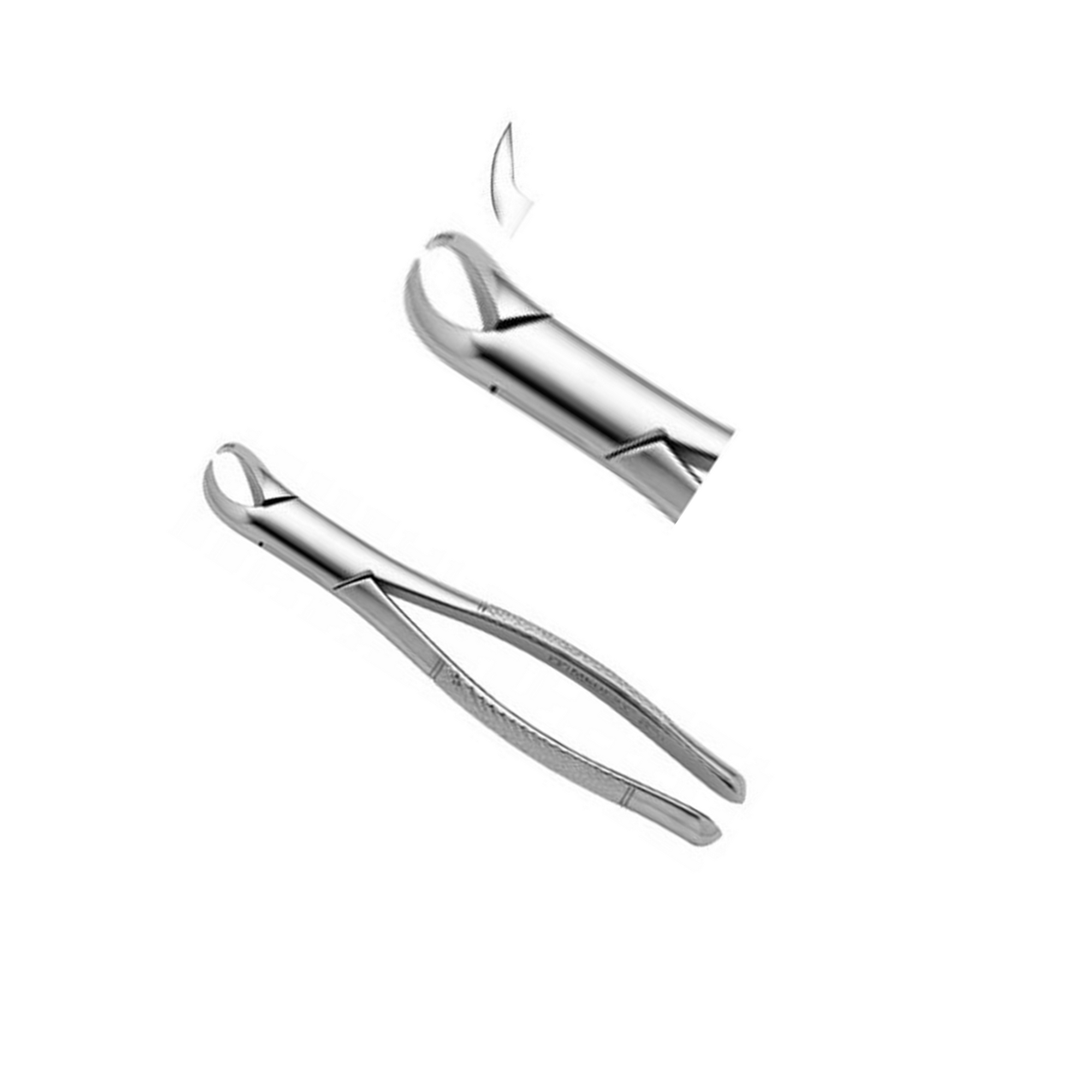 Dental Extraction Forceps - Universal, Straight