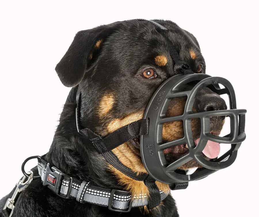 Baskerville Muzzles