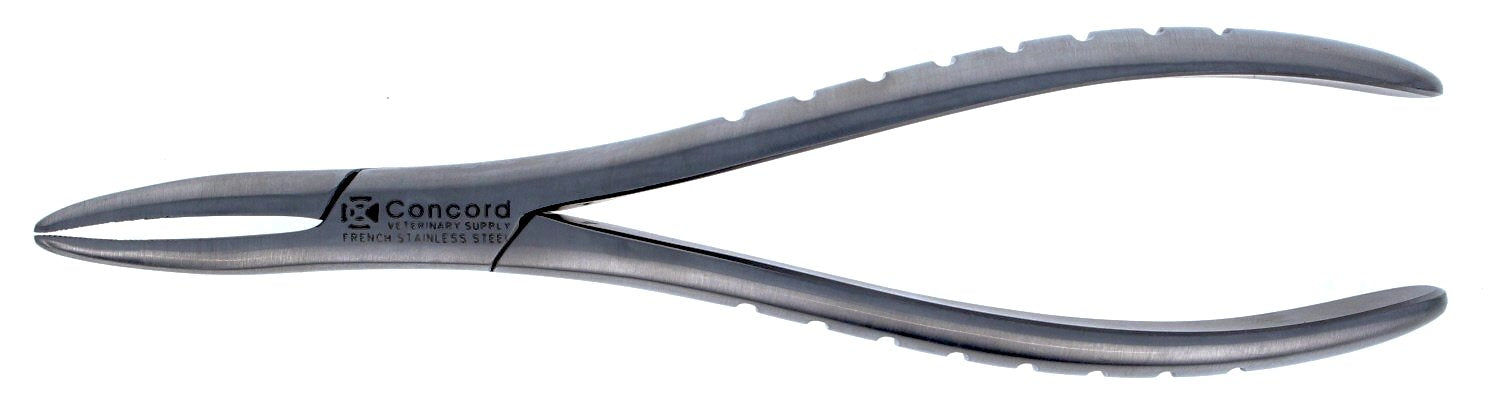 Extracting Forceps #301 - Open Jaw