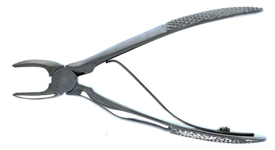 Klein Dental Forceps - Small Animal