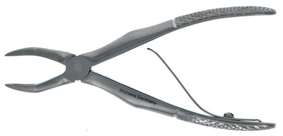 Klein Dental Forceps - Small Animal