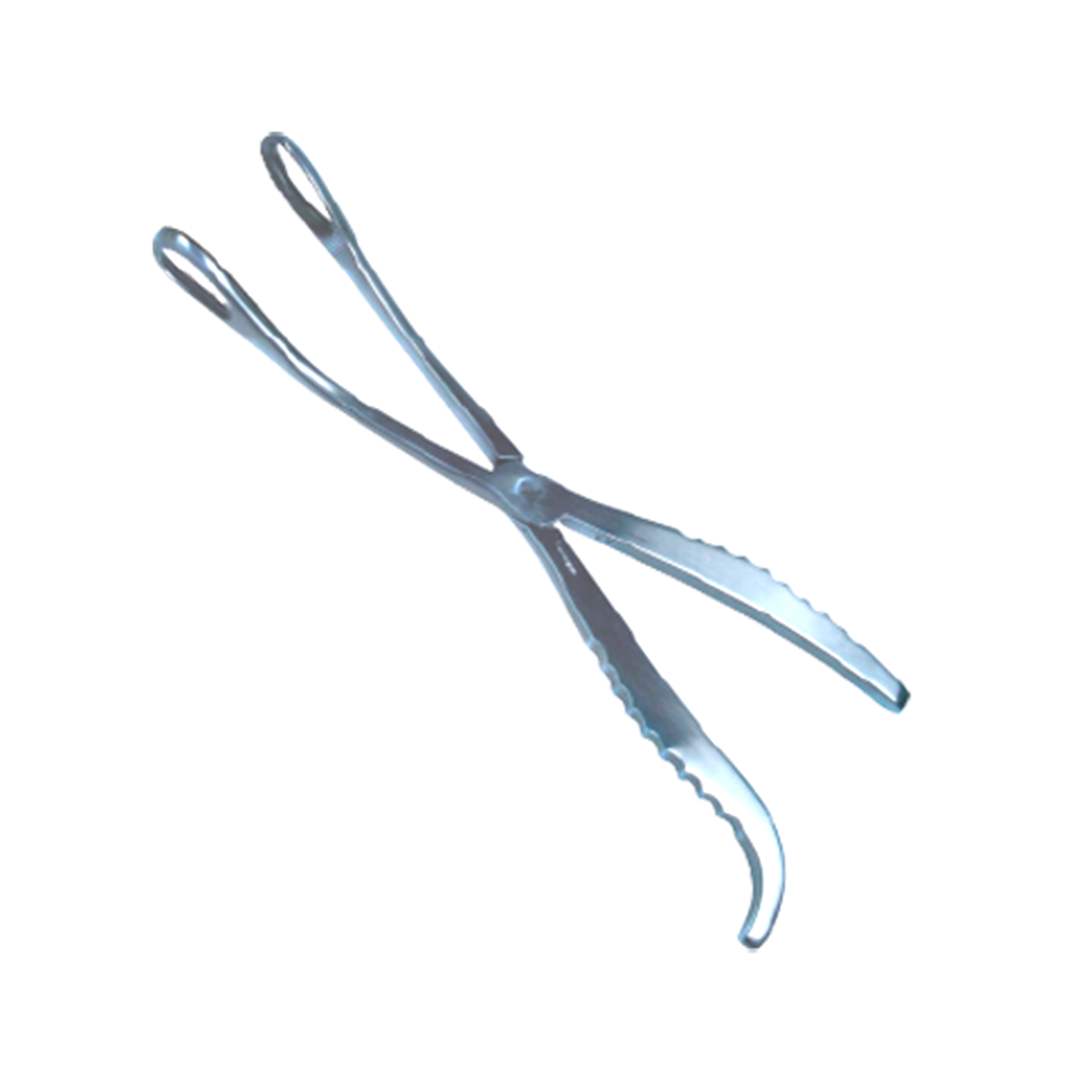 MacLeans Whelping Forceps