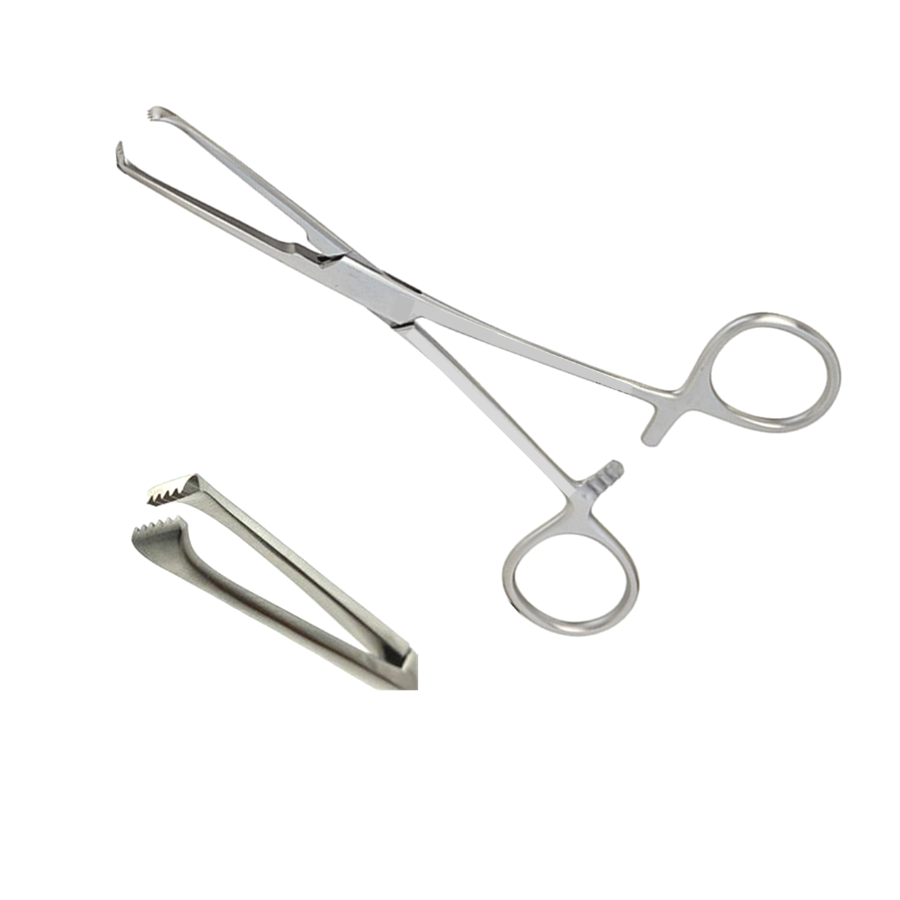 Allis Tissue Forceps