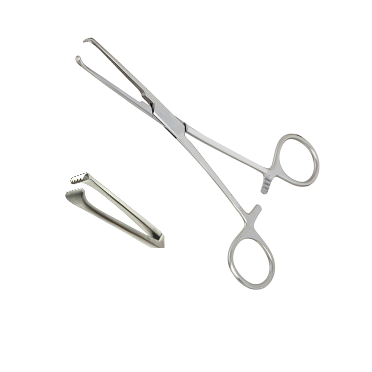 Allis Tissue Forceps - Left Handed