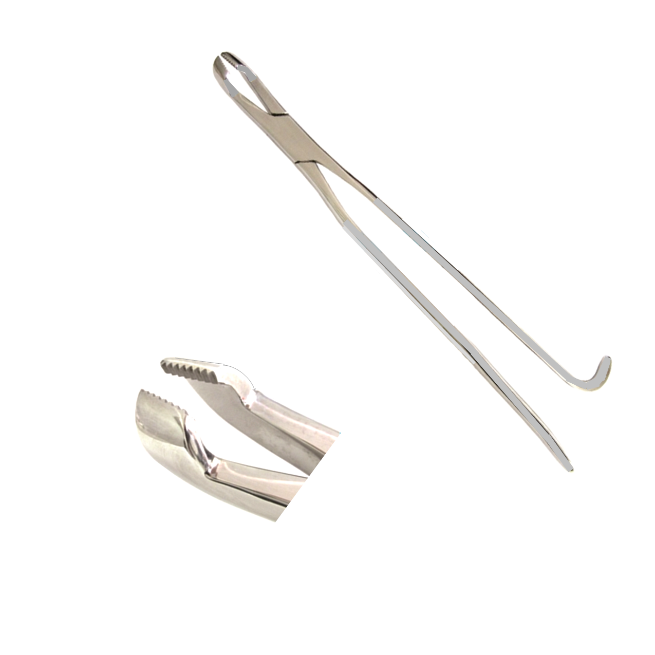Deciduous Premolar Cap Extraction Forceps
