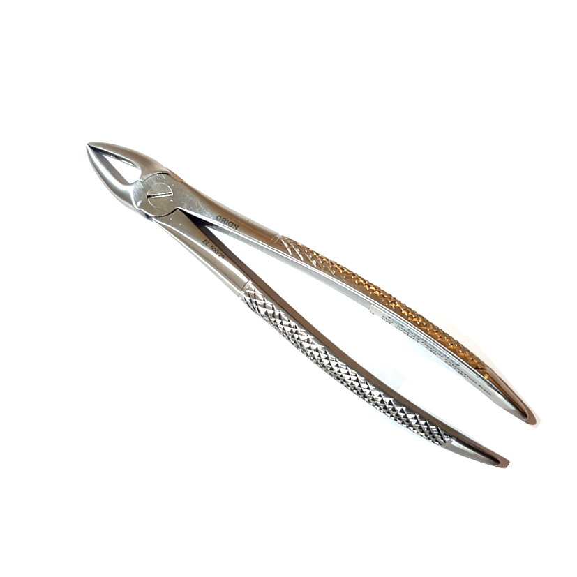 Dental Extracting Forceps, Straight