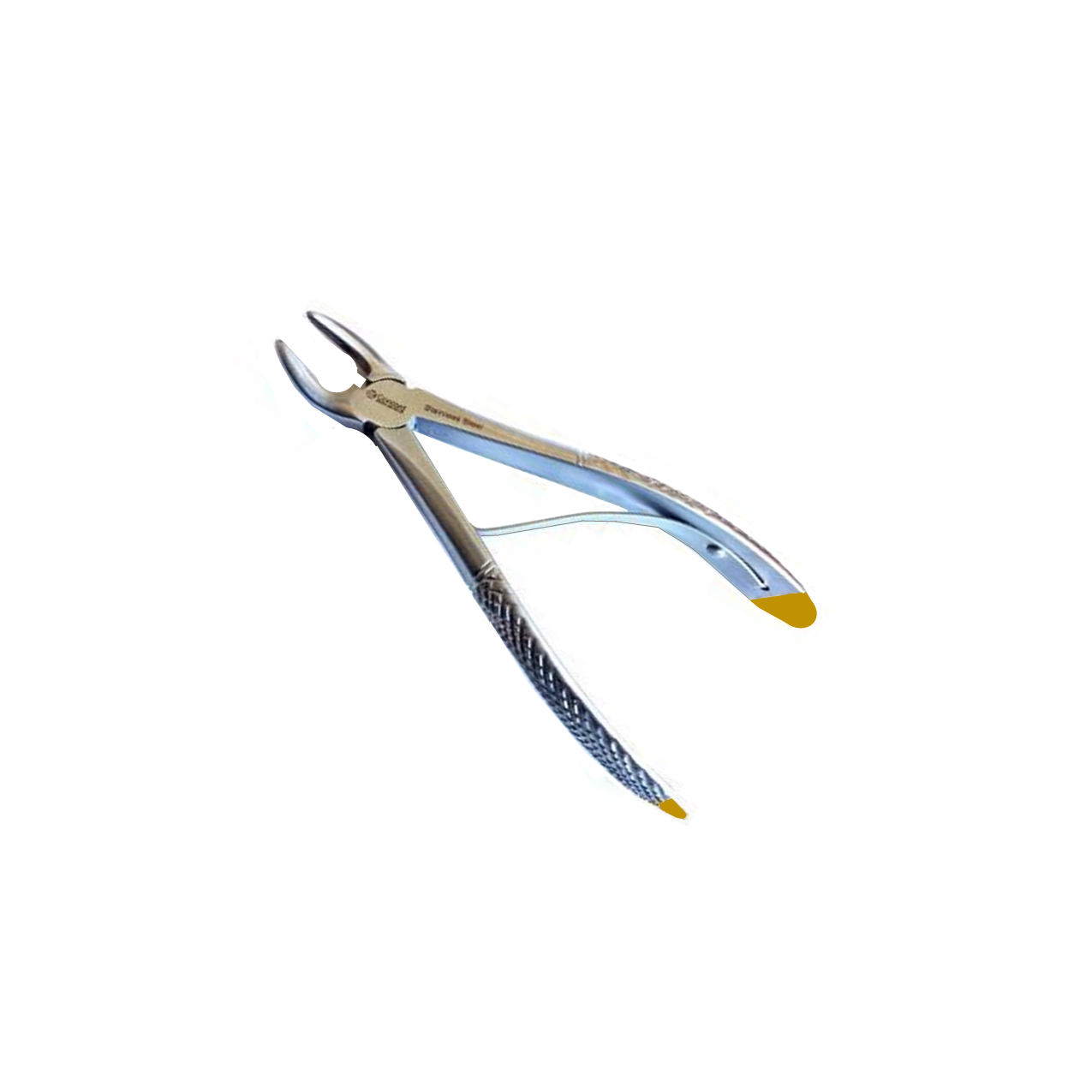 Small Breed Dental Forceps, ex26, T-Carbide