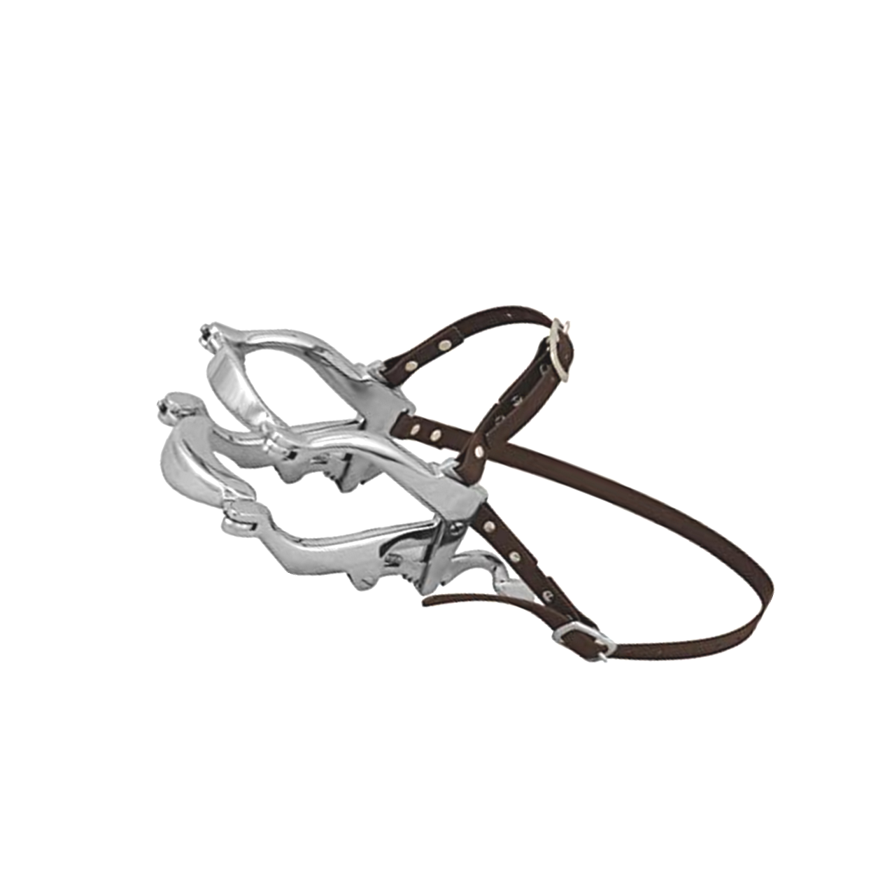 Haussmann Pony Speculum