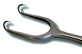 Cottle Skin Hook