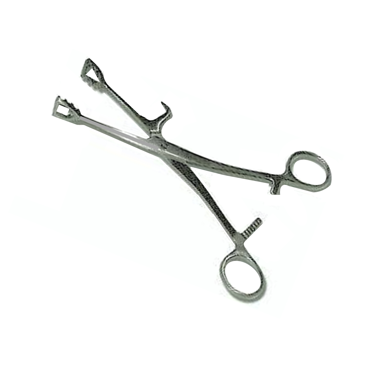 Rumen Forceps