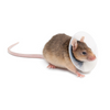 Saf-T-Shield Lightweight Collars - Rodents