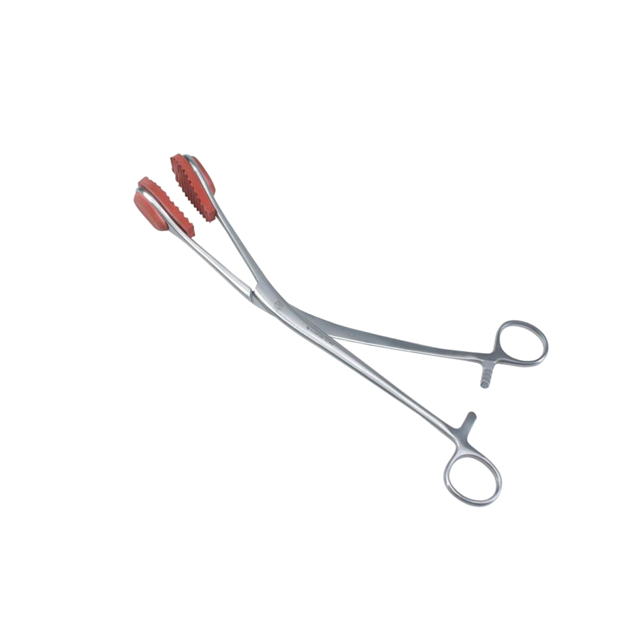 Tongue Holding Forceps (canine)