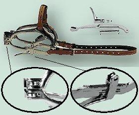 Millenium Speculum