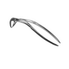 Root Dental Forceps Number 144