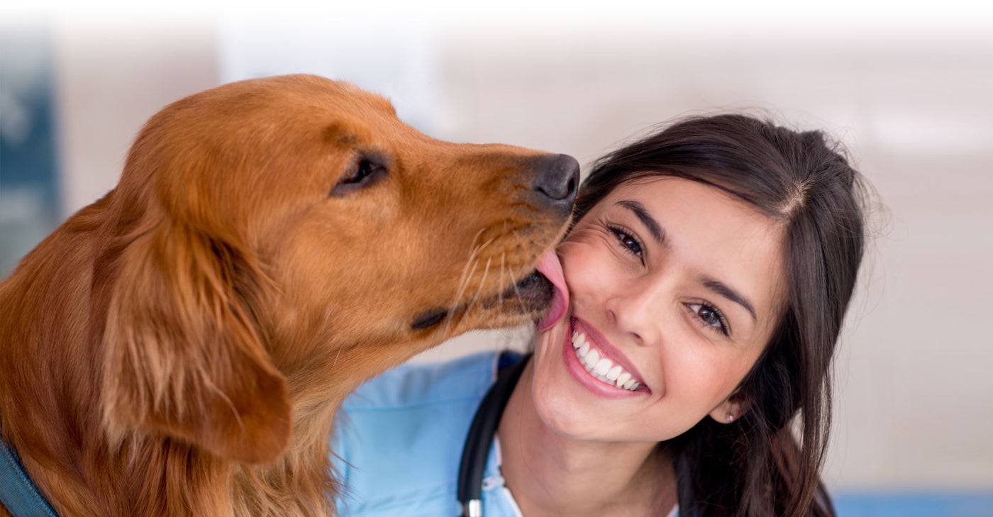 ONE OF CANADA'S LEADING DISTRIBUTOR OF VETERINARY SURGICAL INSTRUMENTS AND ORTHOPAEDIC IMPLANTS