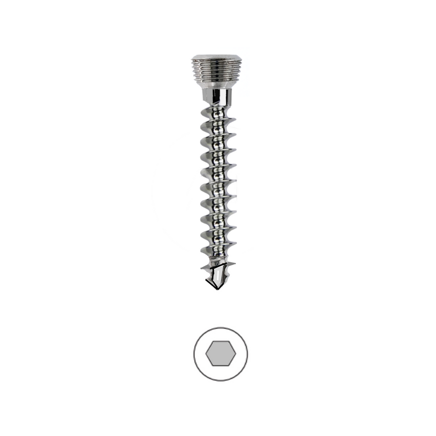 Orthopedic Surgical Titanium Medical Screws Rack 3.5/4.0mm Cortical Screw  Box - China Screw Box, Screw Rack