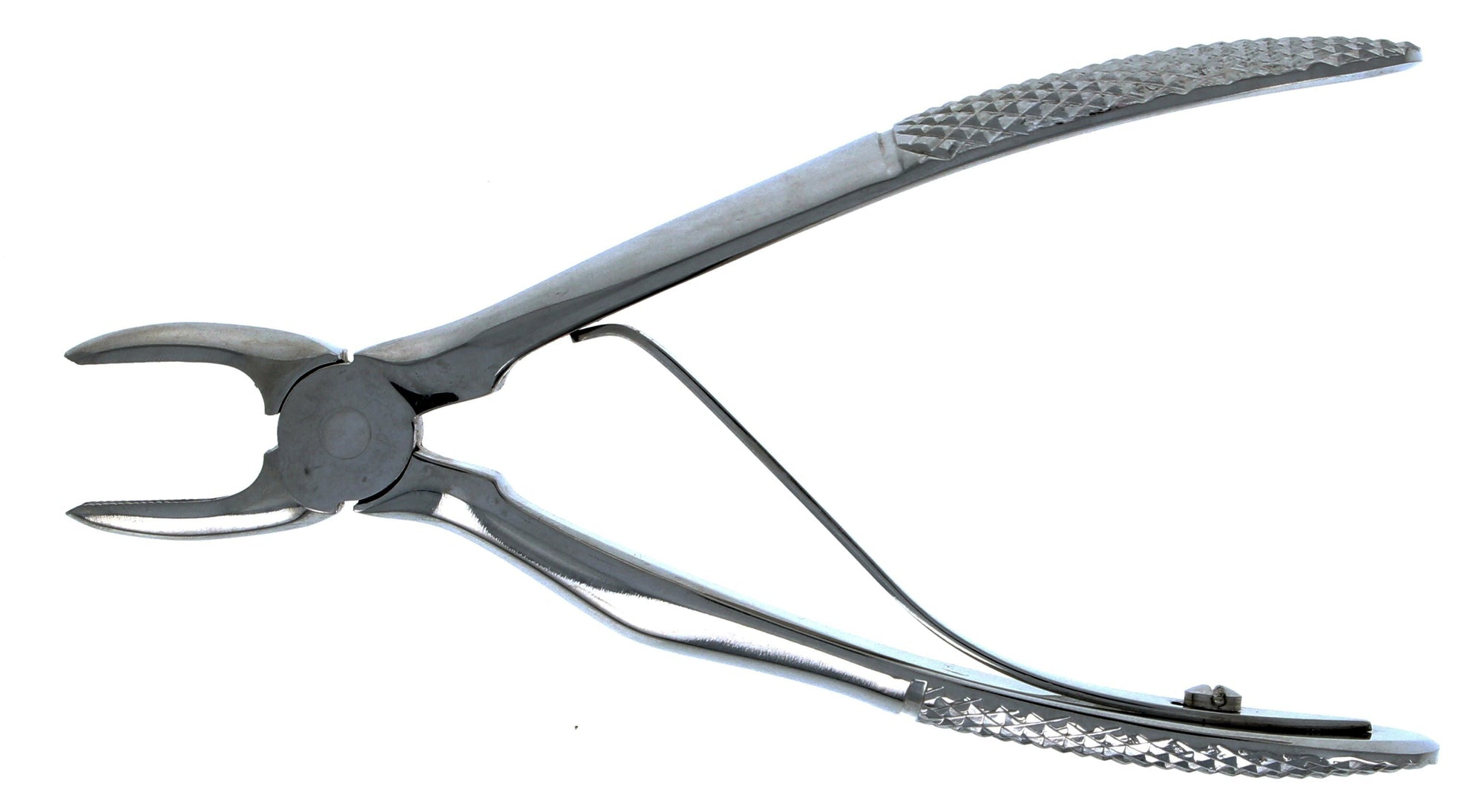 Klein Dental Forceps - Small Animal