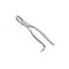 Wolf Tooth Extraction Forceps