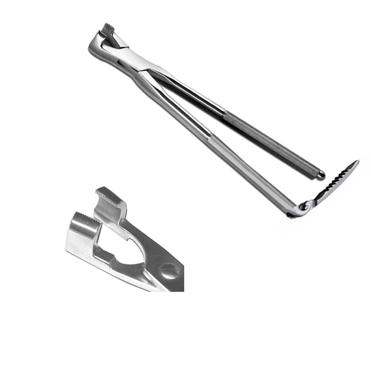 Cheek Tooth Extractor