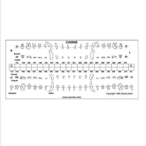 Stick-On Dental Charts