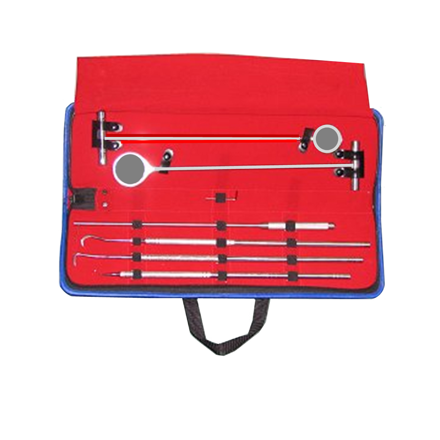 Dental Starter Kit - Equine