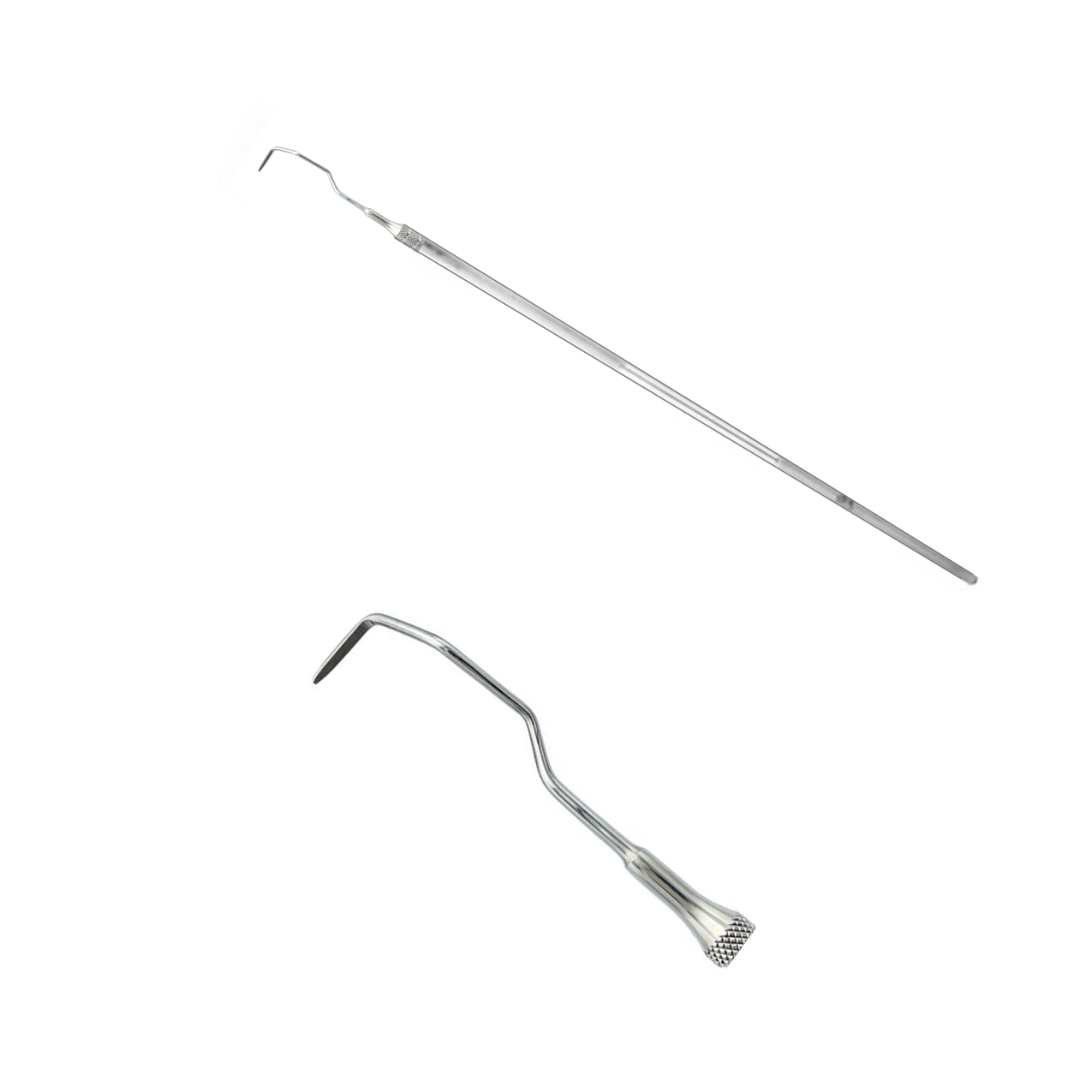 Gracey Curette - Equine