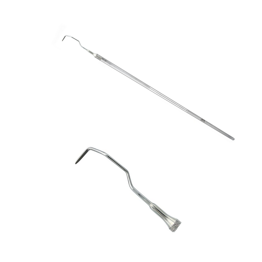 Gracey Curette - Equine