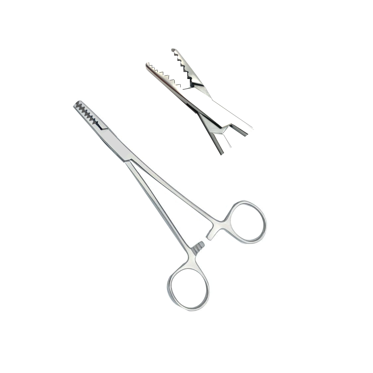 Martins Cartilage Forceps