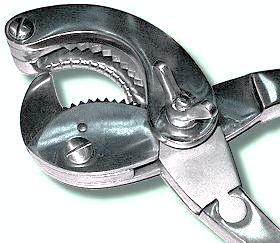 Bertschy Castration Forceps