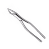Parmly Extraction Forceps #32A