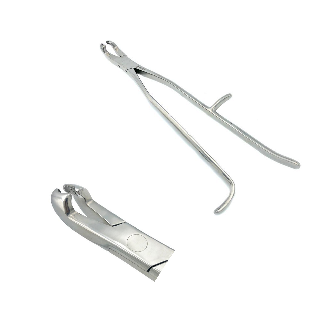 Reynolds Tooth Forceps