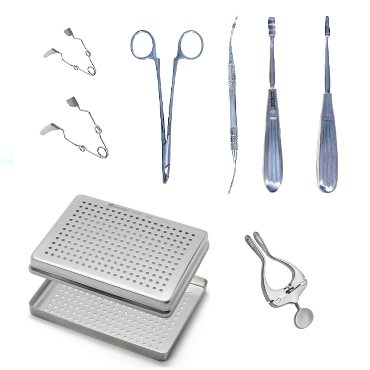 Rodent Dental Starter Kit