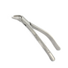 Universal Dental Extraction Forceps
