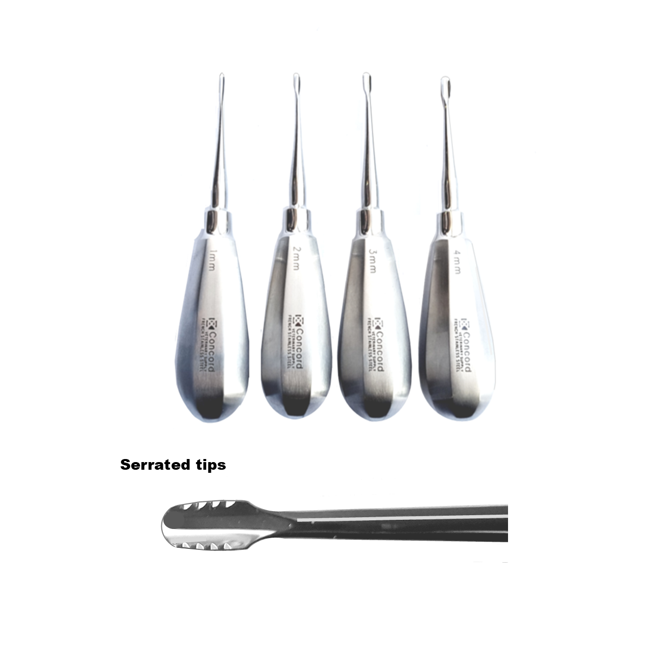 Winged Elevators Serrated Tips, Stubby Handles